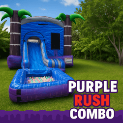 Toddler Purple Rush COMBO (WET)