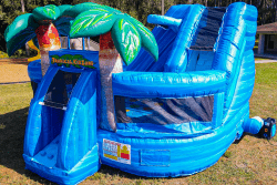 new2017 1675103363 Tropical Kid zone COMBO (DRY)