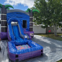 purple20rush202 1675104685 Toddler Purple Rush COMBO (DRY)