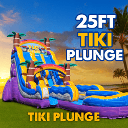 25ft dual lane tiki plunge waterslide